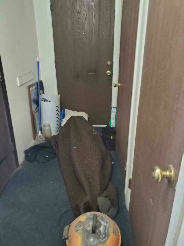Awful Neighbors (23 pics)