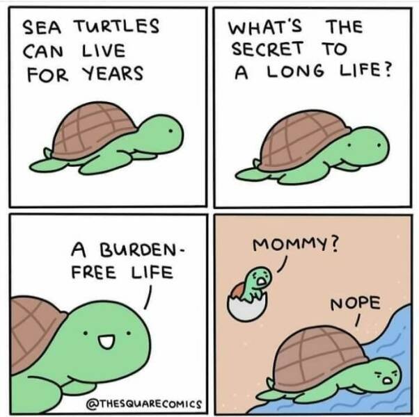 Dark Humor (23 pics)