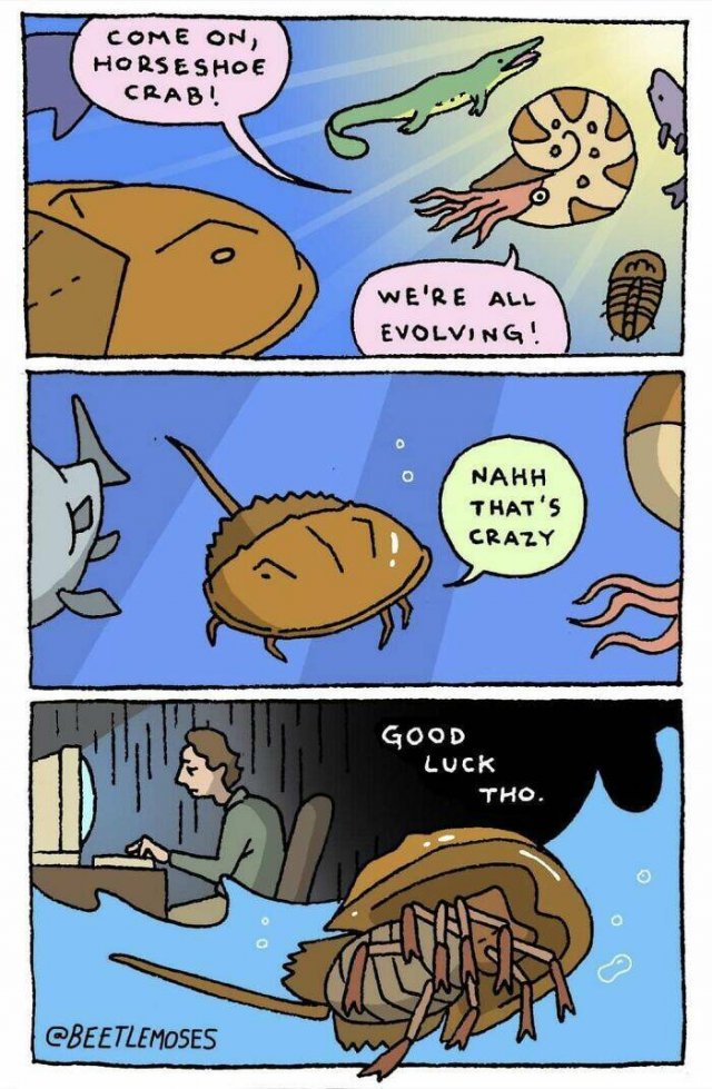 Dark Humor (23 pics)