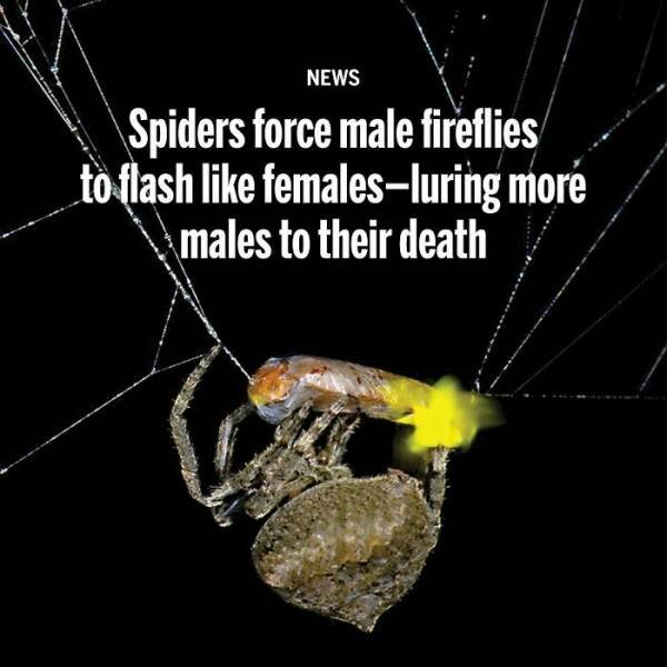 Dark Humor (23 pics)