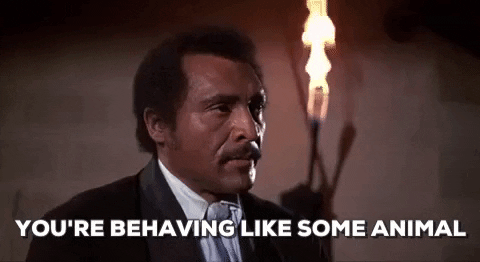 Weird Thoughts (15 gifs) Weird Thoughts (15 gifs)