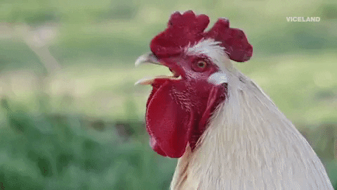 Weird Thoughts (15 gifs) Weird Thoughts (15 gifs)