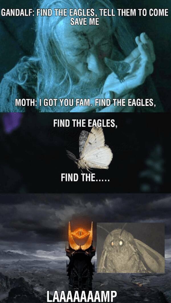 Memes For ''The Lord Of The Rings'' Fans (21 pics)