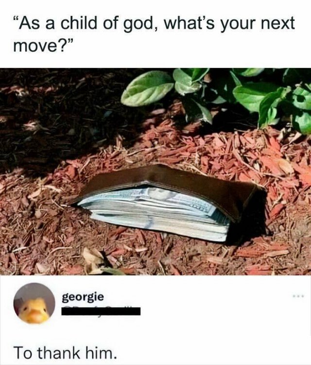 Funny Comments (25 pics)