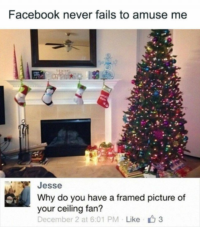 Funny Comments (25 pics)