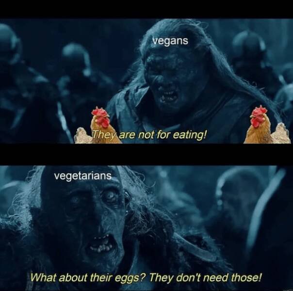 Memes For ''The Lord Of The Rings'' Fans (21 pics)