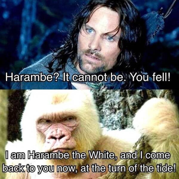 Memes For ''The Lord Of The Rings'' Fans (21 pics)