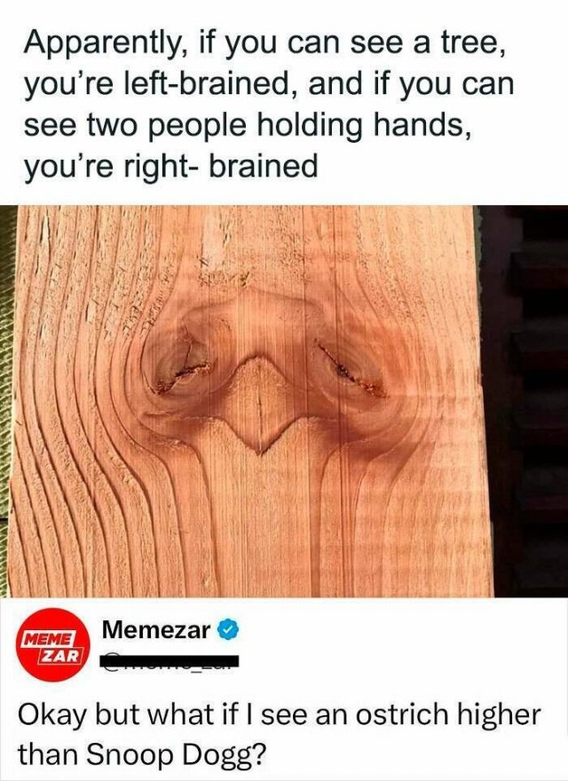 Funny Comments (25 pics)