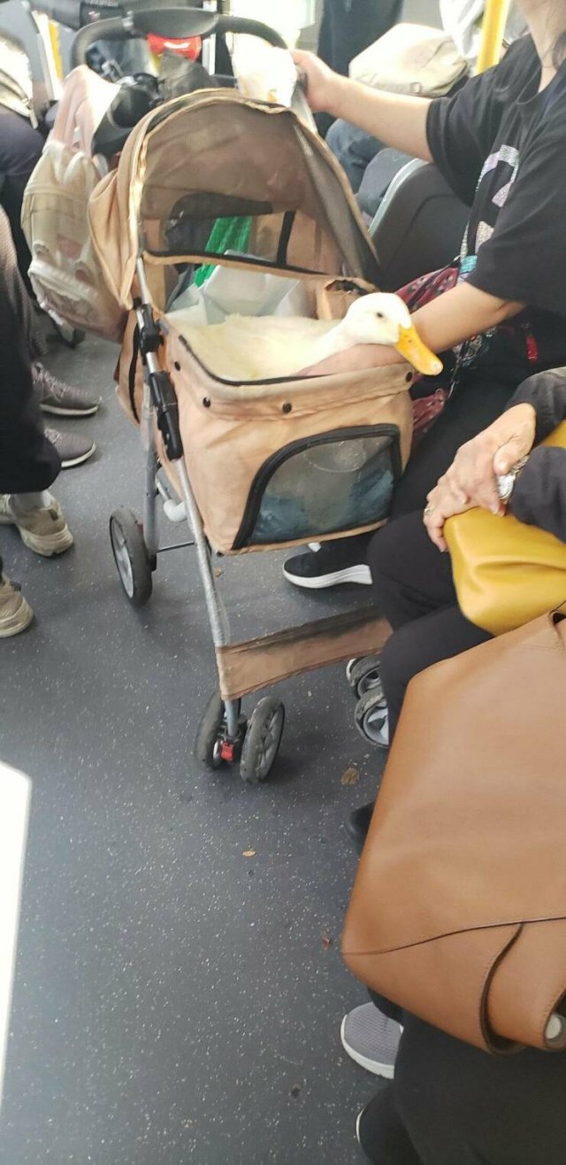 Interesting Finds (20 pics)