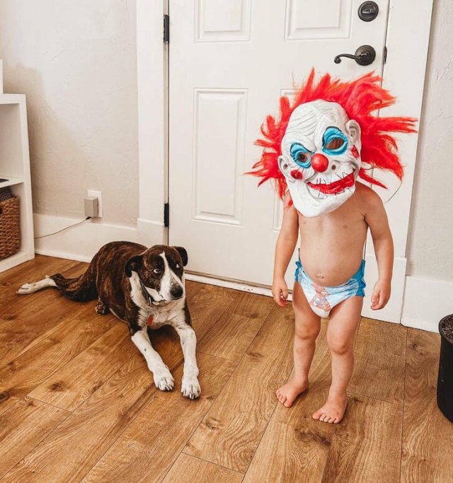 Parenting Is Chaos (21 pics)