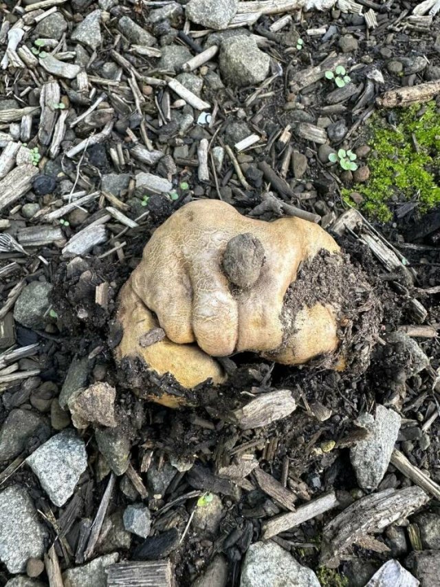 Interesting Finds (20 pics)