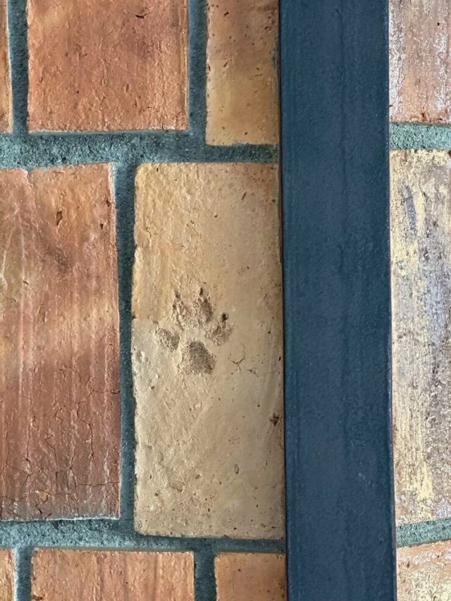 Interesting Finds (20 pics)