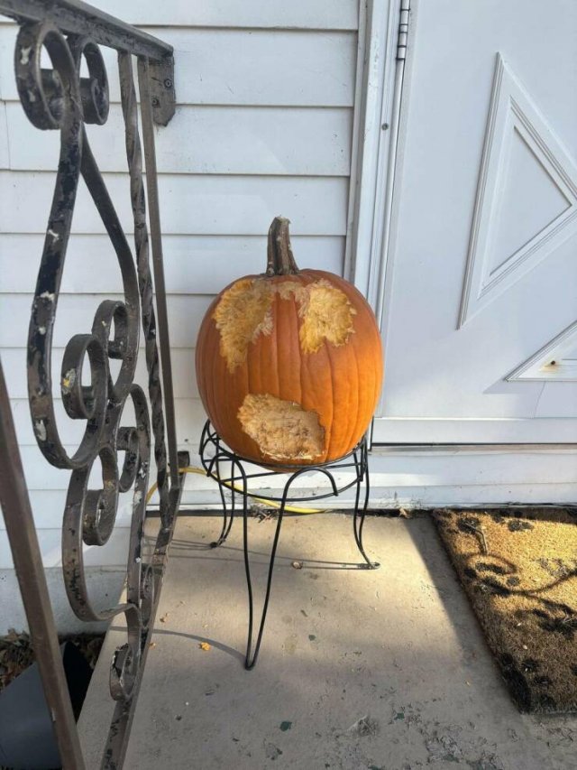 Interesting Finds (20 pics)