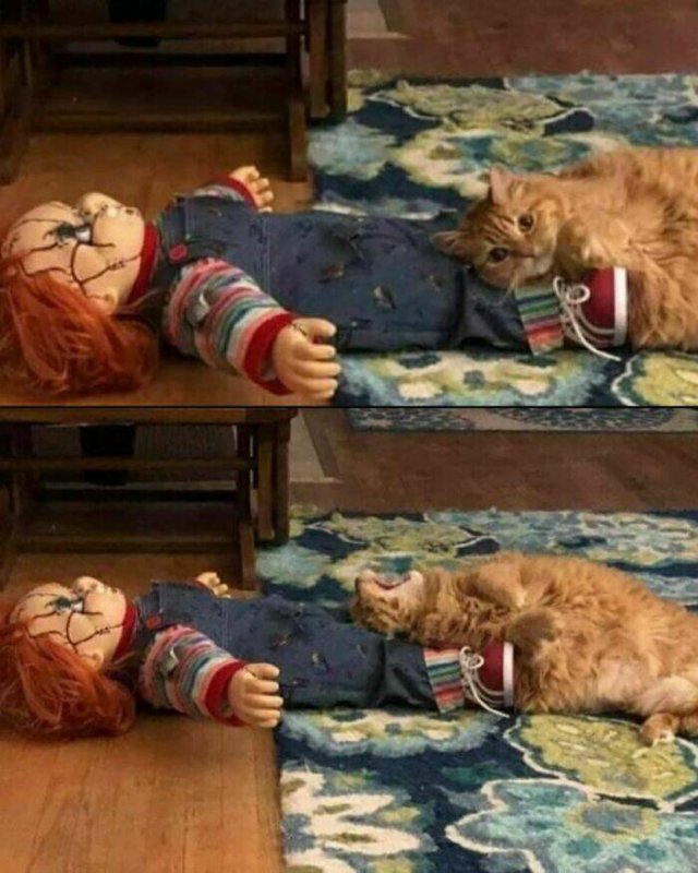 Memes For Horror Fans (29 pics)