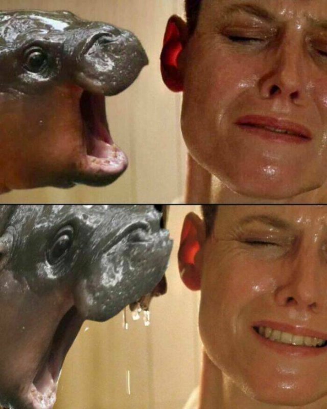 Memes For Horror Fans (29 pics)