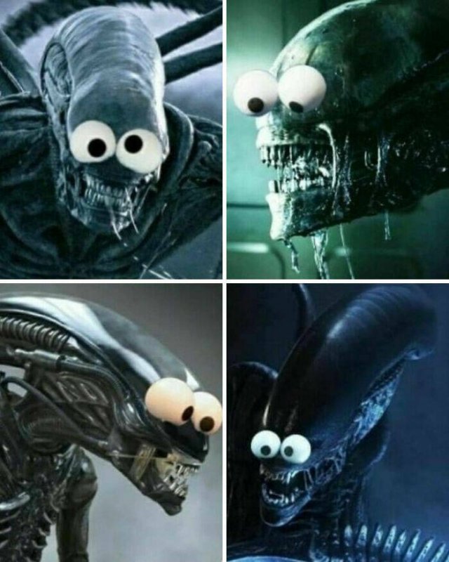 Memes For Horror Fans (29 pics)