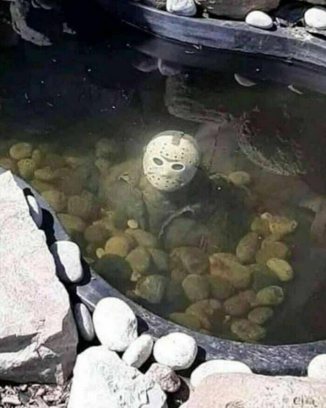 Memes For Horror Fans (29 pics)