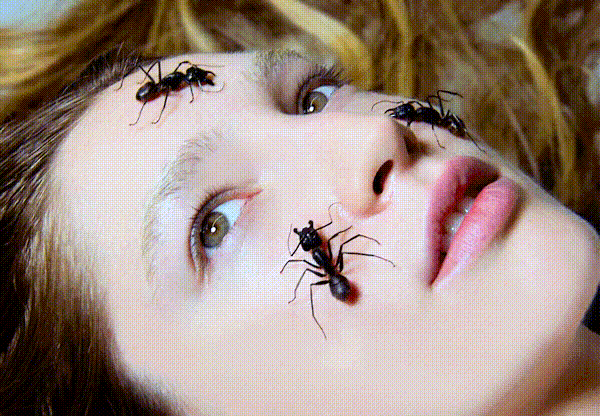Creepy Facts (20 gifs) Creepy Facts (20 gifs)