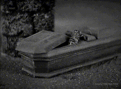 Creepy Facts (20 gifs) Creepy Facts (20 gifs)