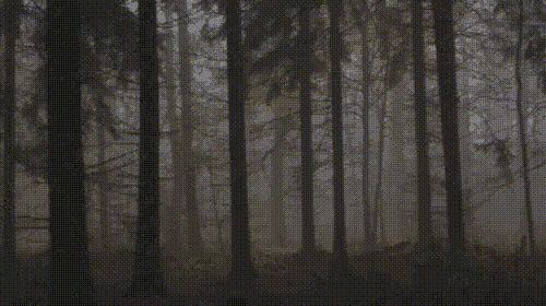 Creepy Facts (20 gifs) Creepy Facts (20 gifs)