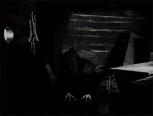 Creepy Facts (20 gifs) Creepy Facts (20 gifs)