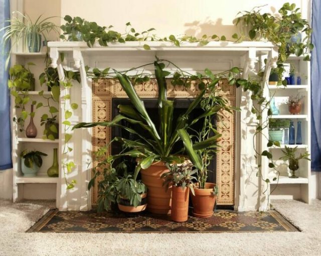 Century-Old Homes And Finds In Them (25 pics)
