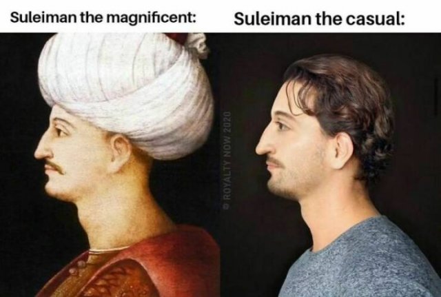 Historical Memes (20 pics)