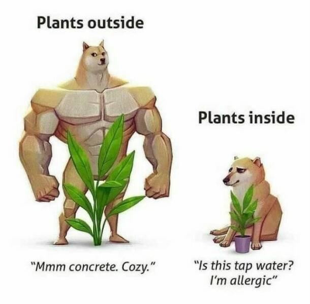 Funny Memes (24 pics)