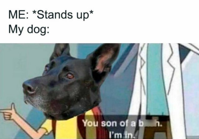 Funny Memes (24 pics)