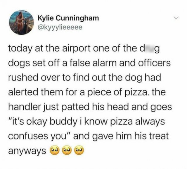 Random Jokes (24 pics)