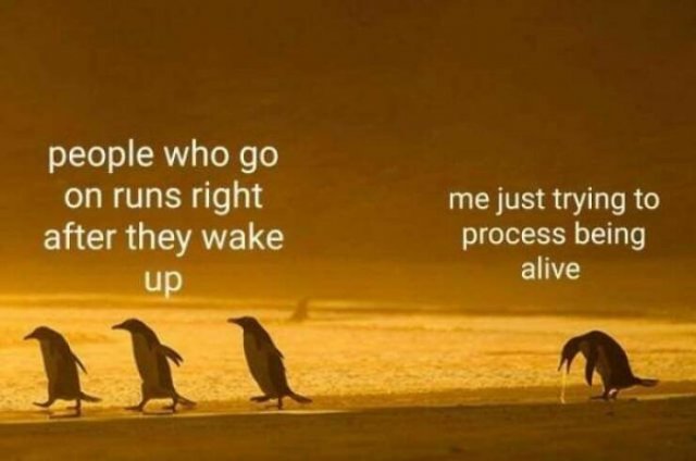 Funny Memes (24 pics)