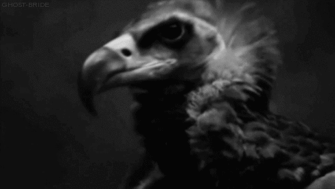 Creepy Facts (15 gifs) Creepy Facts (15 gifs)