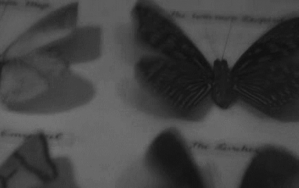 Creepy Facts (15 gifs) Creepy Facts (15 gifs)