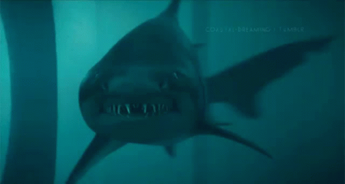 Creepy Facts (15 gifs) Creepy Facts (15 gifs)
