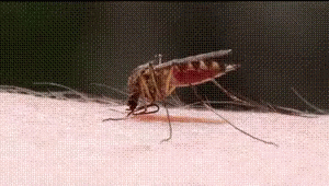Unusual Lifehacks (19 gifs) Unusual Lifehacks (19 gifs)
