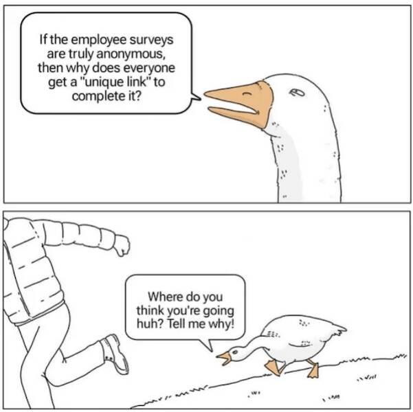 Work Memes (25 pics)