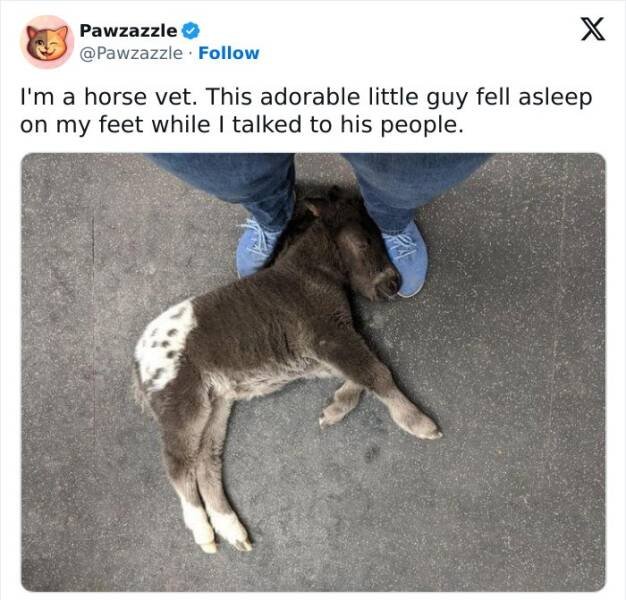 Funny Memes (22 pics)