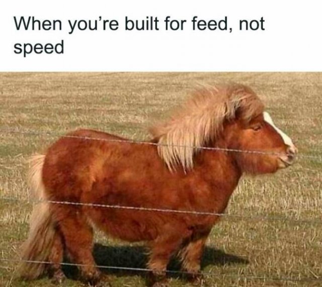 Funny Memes (22 pics)