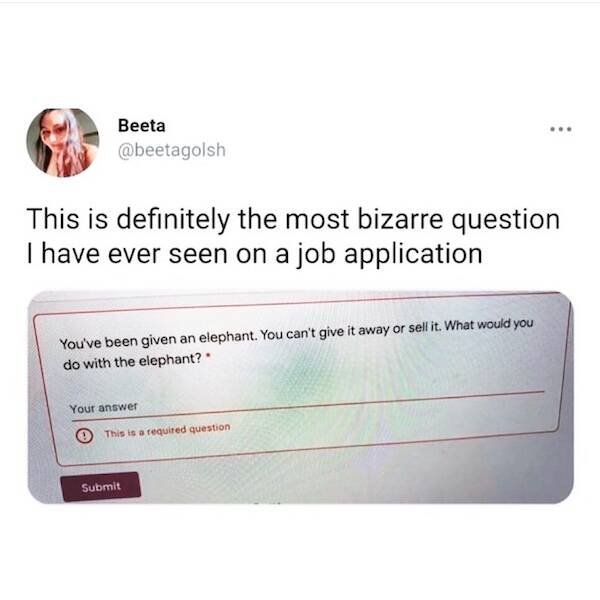 Work Memes (25 pics)