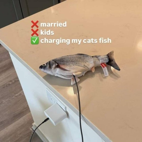What Is Going On Here? (20 pics)