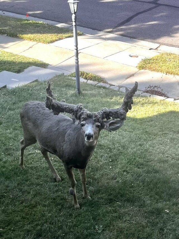 What Is Going On Here? (20 pics)