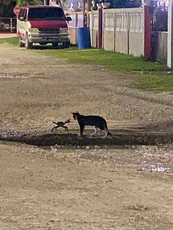 Bad Days Happen (24 pics)