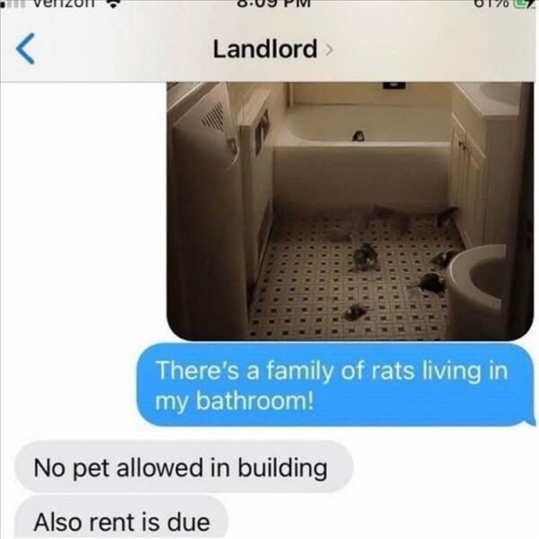 Bad Days Happen (24 pics)