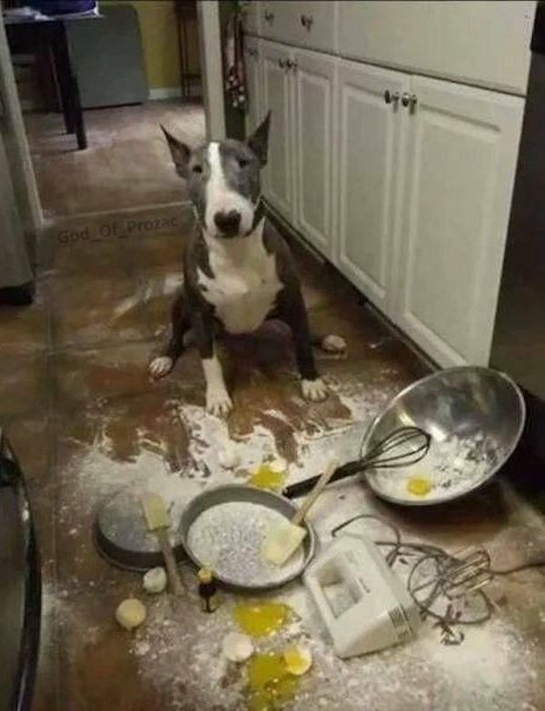 Bad Days Happen (24 pics)