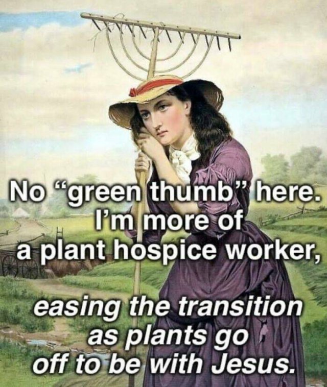 Classical Memes (23 pics)