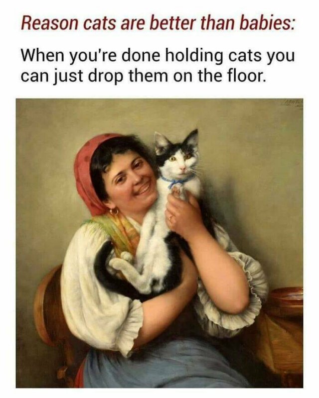 Classical Memes (23 pics)