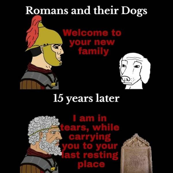 Historical Memes (21 pics)