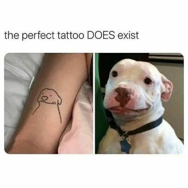 Jokes For Dog Lovers (24 pics)