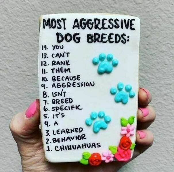 Jokes For Dog Lovers (24 pics)