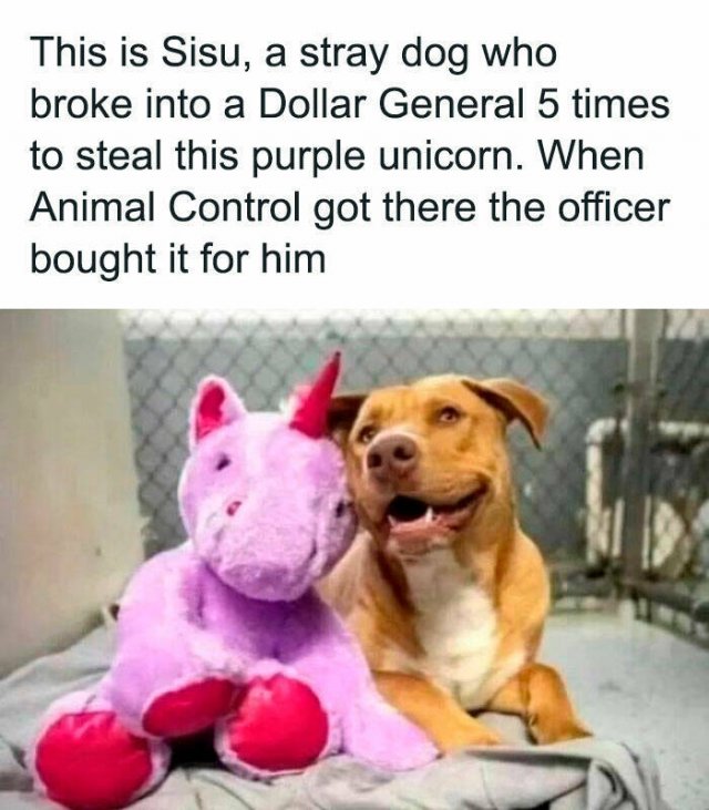 Jokes For Dog Lovers (24 pics)